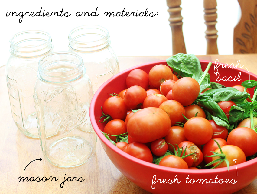 6a016304717e14970d0177444d2df6970d