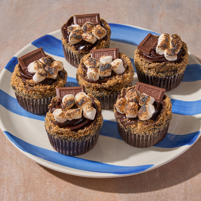 S'mores Cupcakes (6)